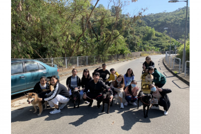 公益少年團探訪流浪動物機構